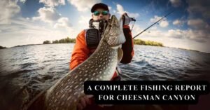 A Complete Fishing Report for Cheesman Canyon