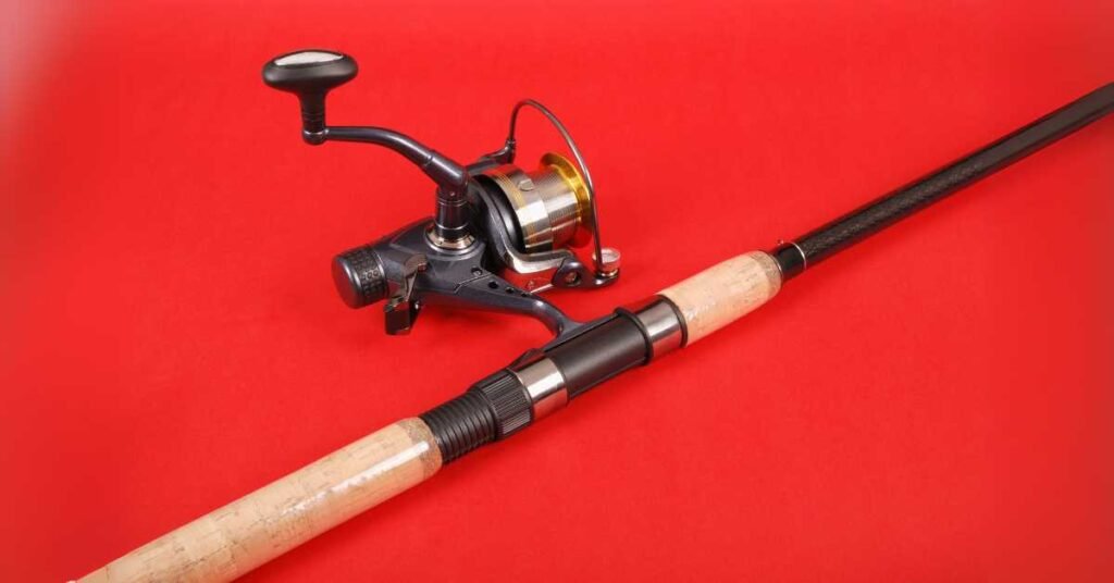 choosing a fishing fishing reel